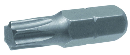 BIT TORX 30x25 mm S2 - 10 bal. (100)